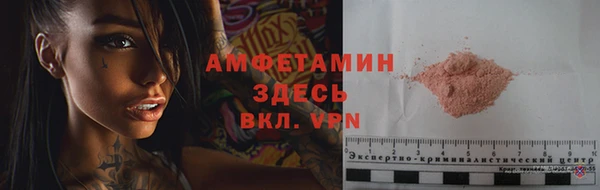 ешки Аркадак