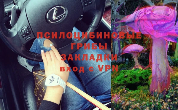 ешки Аркадак