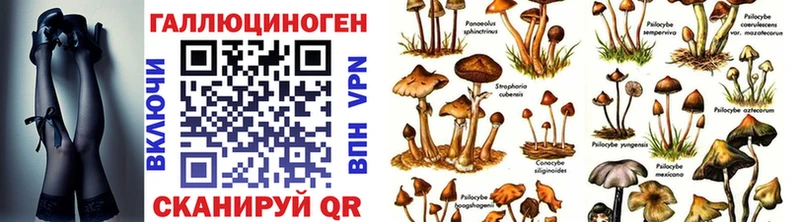 купить наркотики сайты  Зерноград  Псилоцибиновые грибы ЛСД 